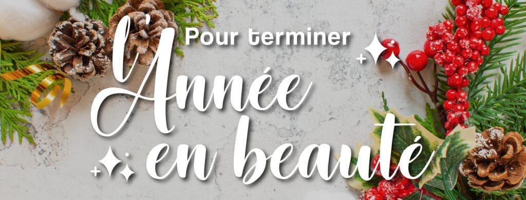 bonnes fêtes de fin d'année