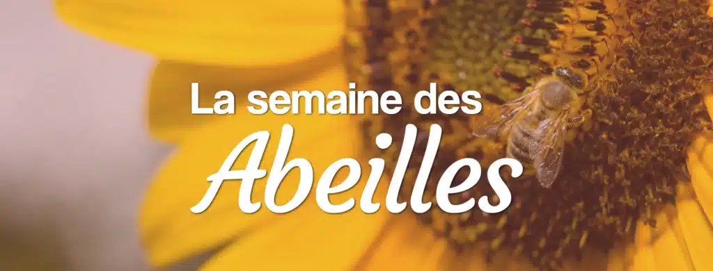 Des fleurs pour la semaine des abeilles La semaine des abeilles