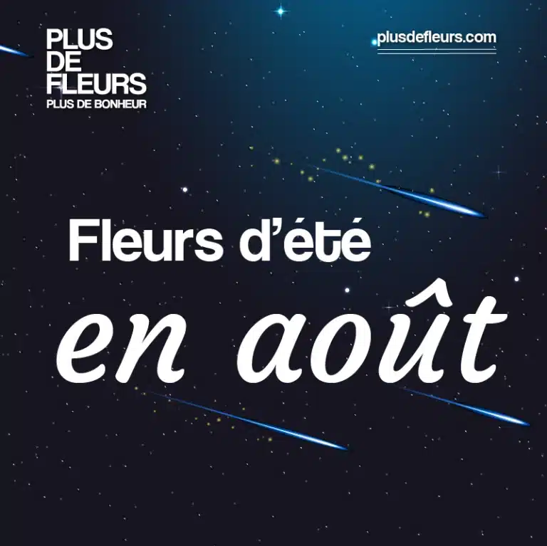 les fleurs et les fêtes d'août