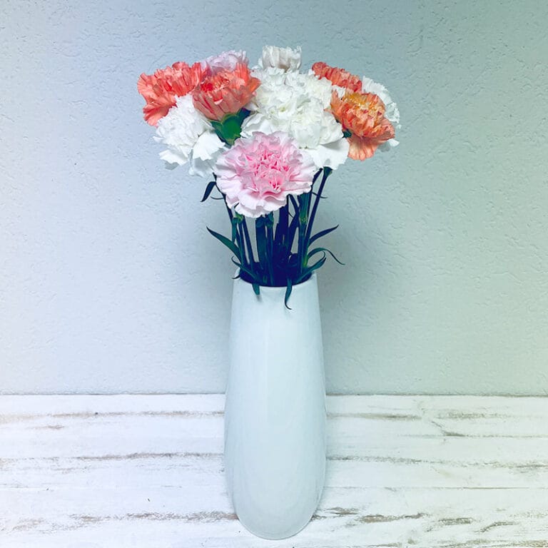 Bouquet d’Œillets de Nice - Pastel