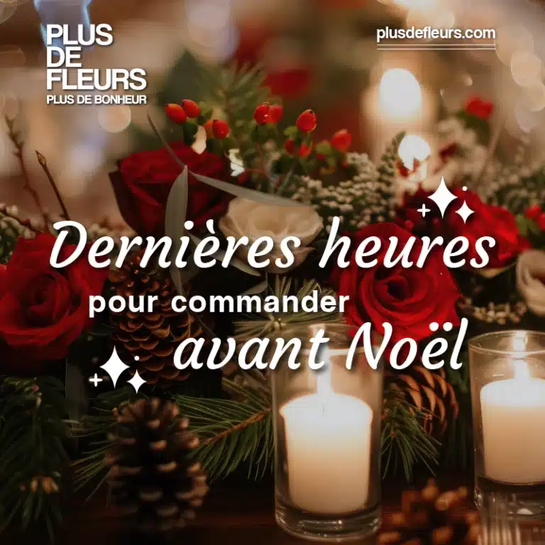 dernières heures pour commander avant Noël