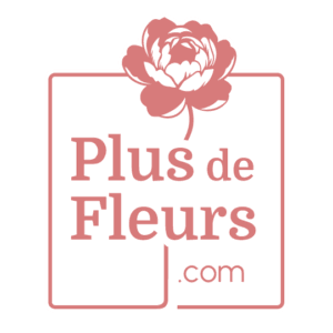 plusdefleurs.com fleuriste en ligne