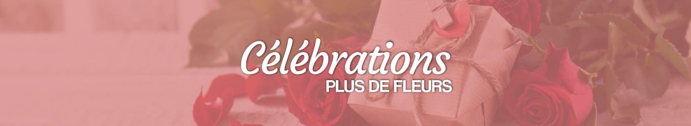 célébrations quelles fleurs offrir pour quelle occasion