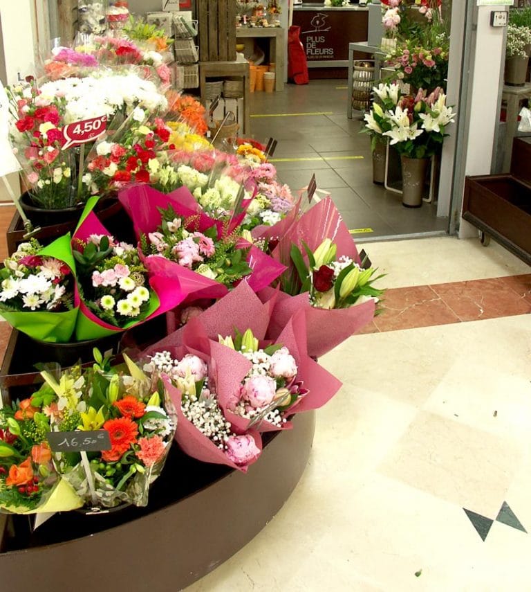 Plus de Fleurs, fleuriste à Chatte boutique-fleurs-chatte
