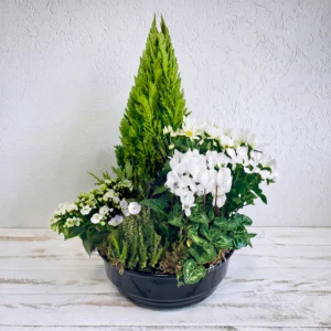 Souvenir blanc - Coupe de plantes deuil