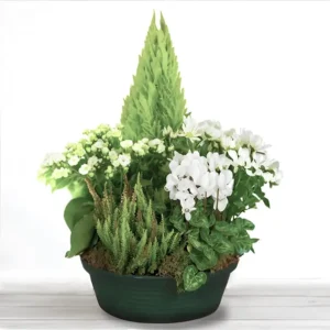 coupe de plante deuil blanc