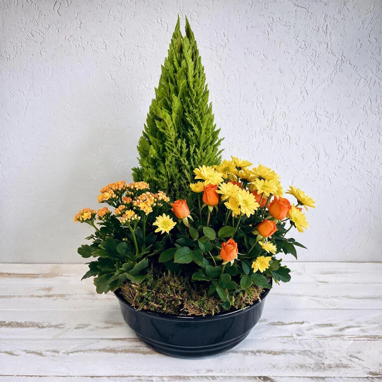 Souvenir chaleureux - Coupe de plantes deuil