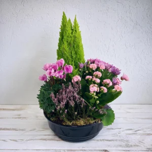 rose Grande Coupe de plantes deuil 41cm