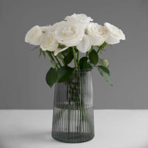 Grandes Roses blanches