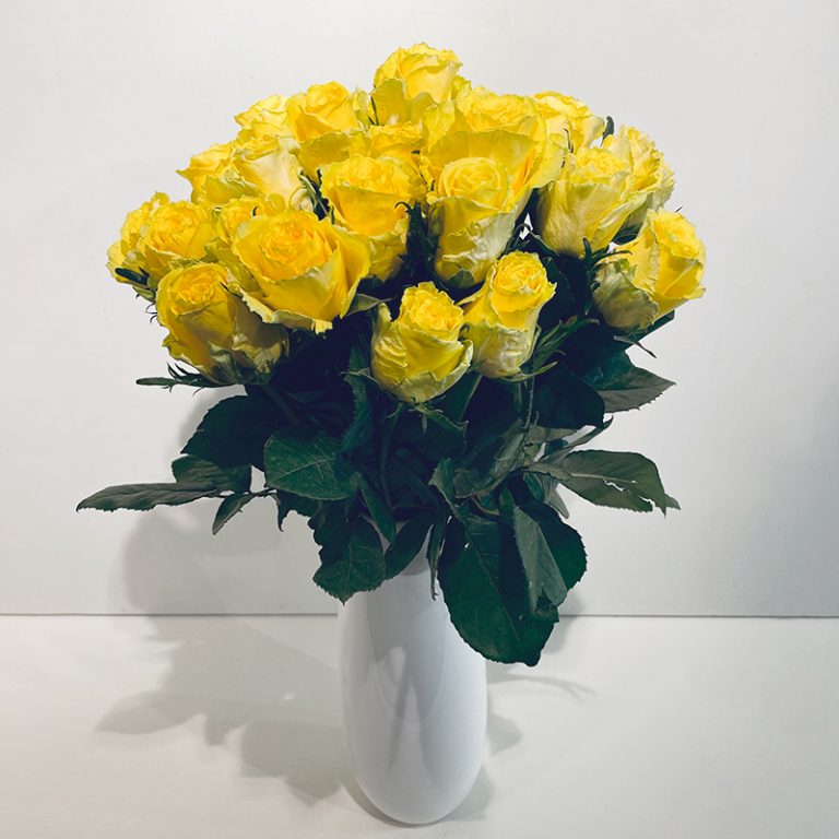 symphonie de roses jaunes fleurs