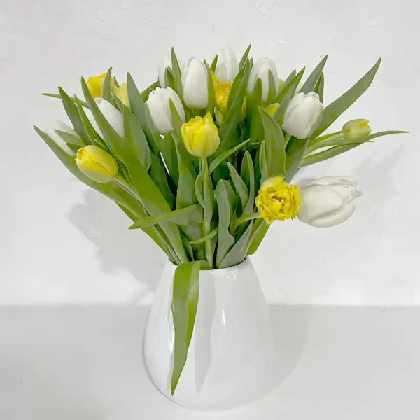 bouquet de Tulipes vanille jaunes et blanches coupées