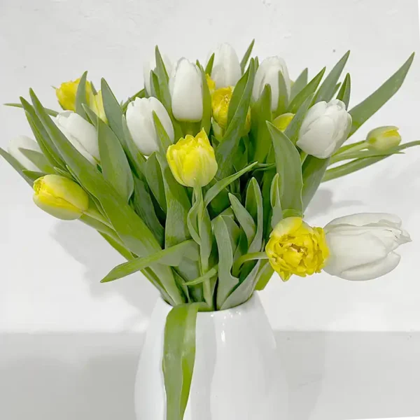 bouquet de Tulipes vanille jaunes et blanches coupées