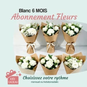 abonnement fleurs blanc 6 mois