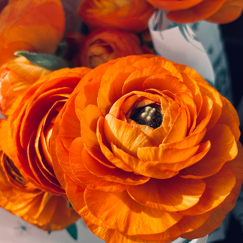 Envoyez vos remerciements avec un bouquet de fleurs oranges