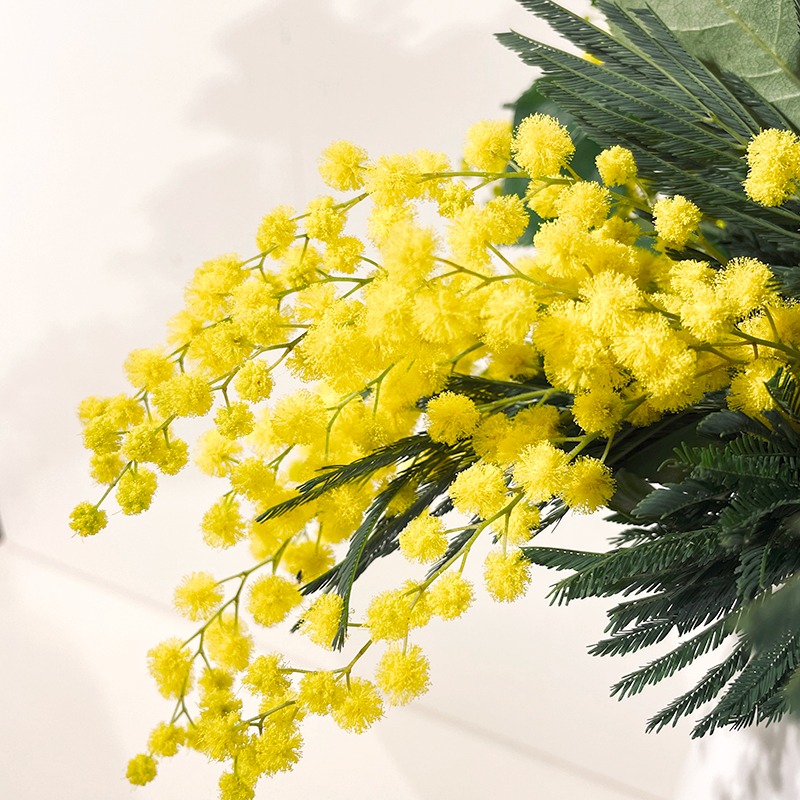 Grappe de fleurs de Mimosa Fleur de France