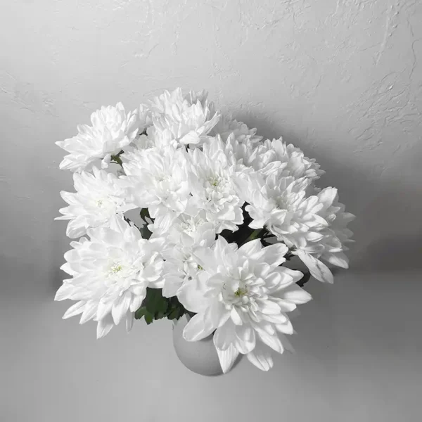 livraison de de bouquet de chrysanthèmes tokyos blancs
