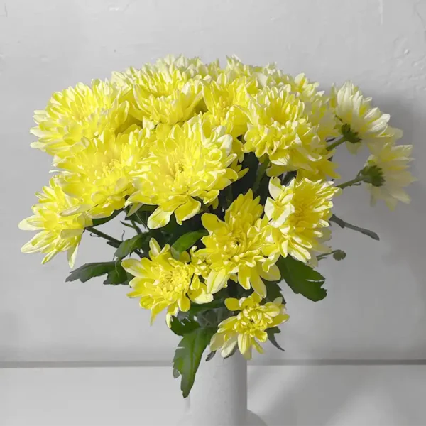 livraison de de bouquet de chrysanthèmes tokyos jaunes