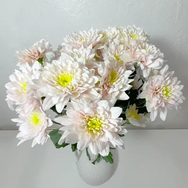 livraison de de bouquet de chrysanthèmes tokyos saumons