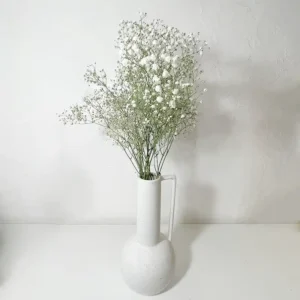livraison de bouquet de gypsophile blanc