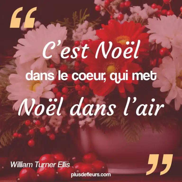 citation de Noël