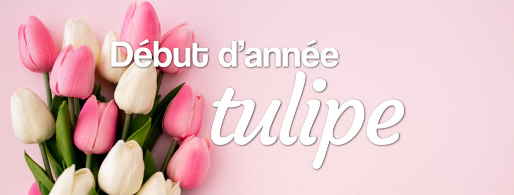 livraison de tulipes fleurs d'hiver et de printemps