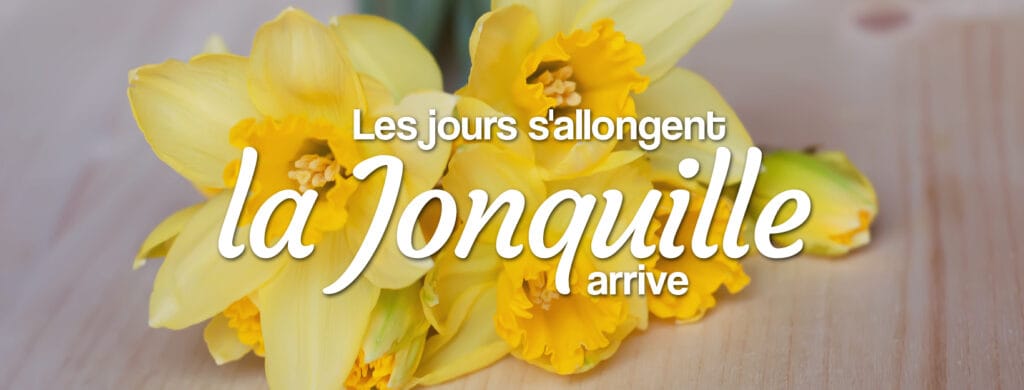 La Jonquille du printemps : bouquets, symbolique et entretien Livraison bouquet de jonquilles