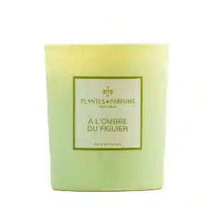 Bougie végétale à l'ombre du figuier