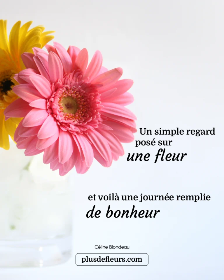 8 belles raisons d'offrir un Germini germinis livraison citation