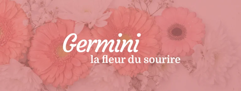 Germini des fleurs à offrir