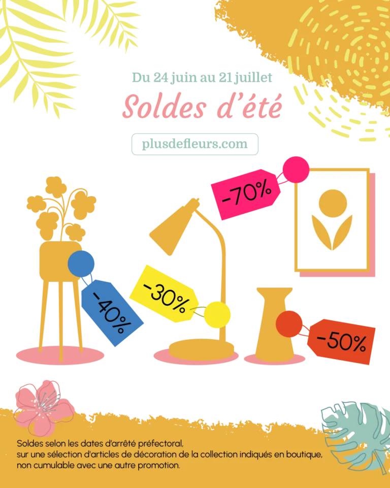 soldes d'été décoration dans les magasins