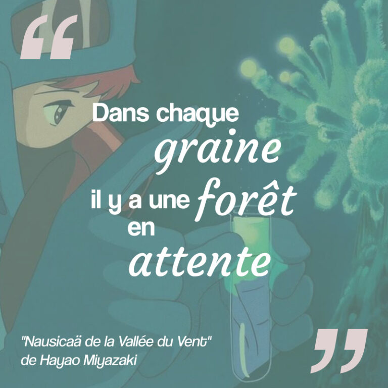 citation dans chaque graine il y a une forêt Nausicaä Ghibli Miyasaki