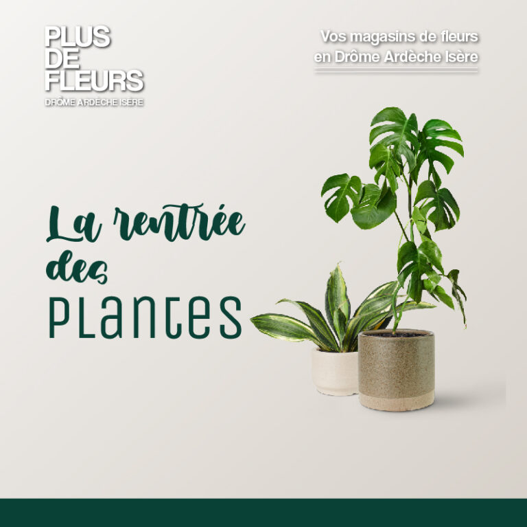 La rentrée des plantes livraison à domicile