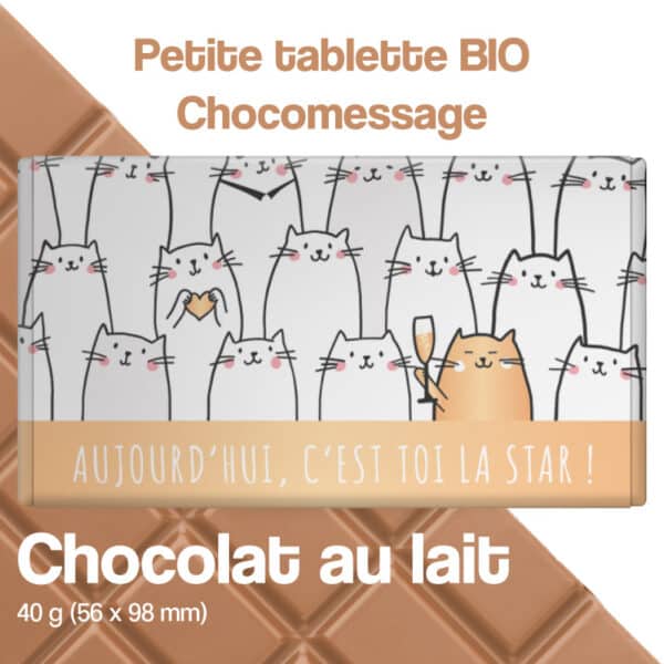 chocolat au lait message joyeux chat anniversaire champagne