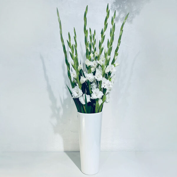 glaïeuls blancs en bouquet