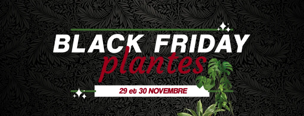 black friday plante addict déco jungle