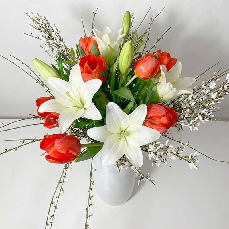 Parfum de Tulipes, bouquet champêtre rouge et blanc du printemps