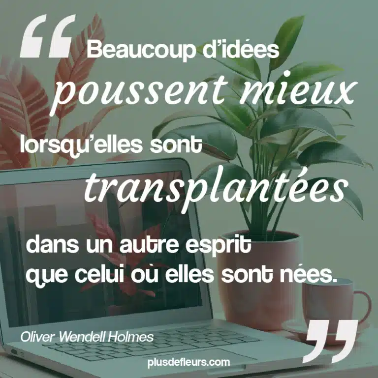 5 idées pour la Journée des Collègues Citation sur le travail d'équipe plante Journée des Collègues