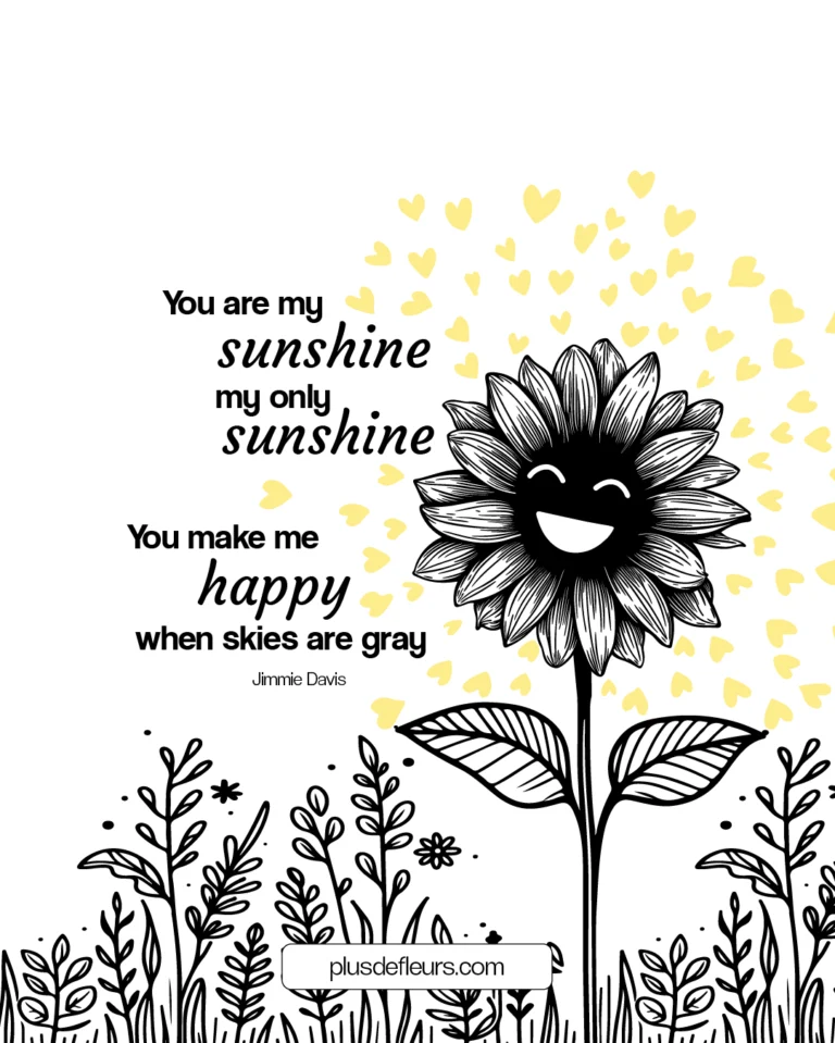 Fleurs de juillet : Tournesol et vacances citation sur les fleurs de juillet "you are my sunshine"