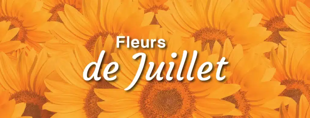 Fleurs de juillet