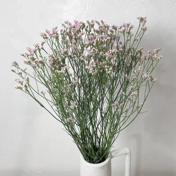 livraison de limonium rose pour les mariages