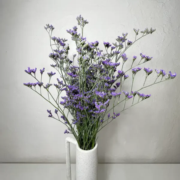 livraison de limonium violet pour les mariages