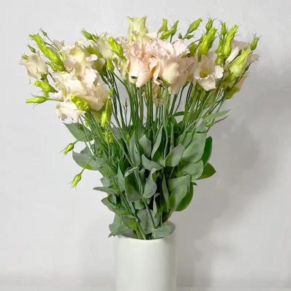 livraison de bouquet de lisianthus saumon décoration