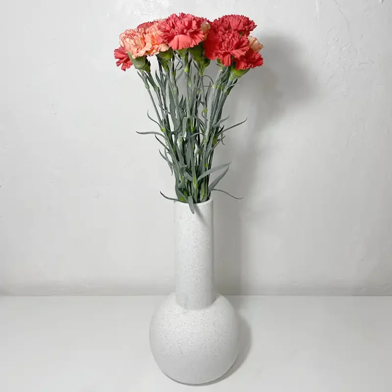 Bouquet d’Œillets de Nice - Chaleureux