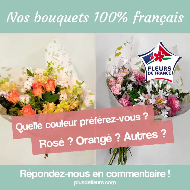 Quelle couleur de bouquet fleurs de France préférez vous ?