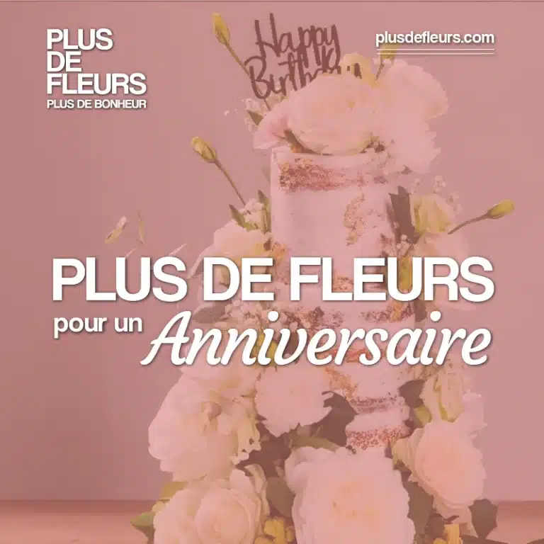 anniversaire plus de fleurs livraison de bouquet à domicile