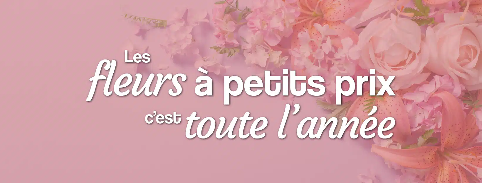 des fleurs pas chères pour un petit budget toute l'année