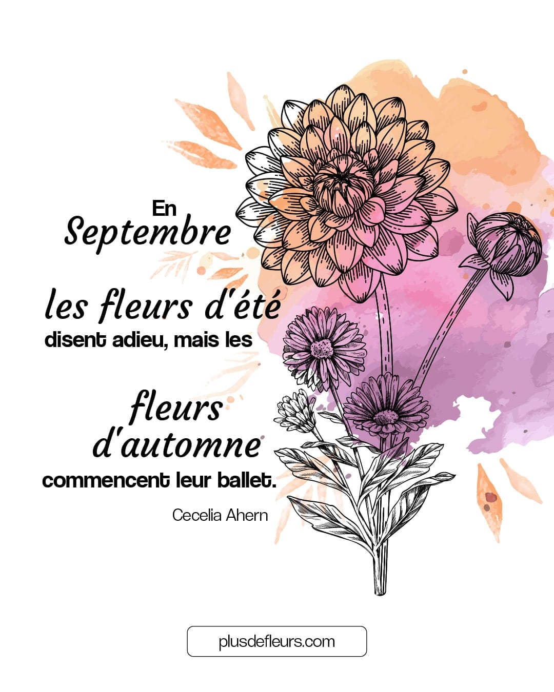 Fleurs de Septembre : célébrons le changement citation sur les fleurs de septembre