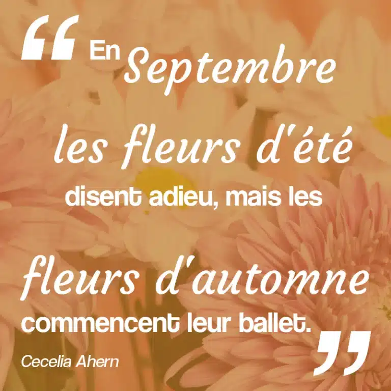 Citation sur les fleurs de septembre