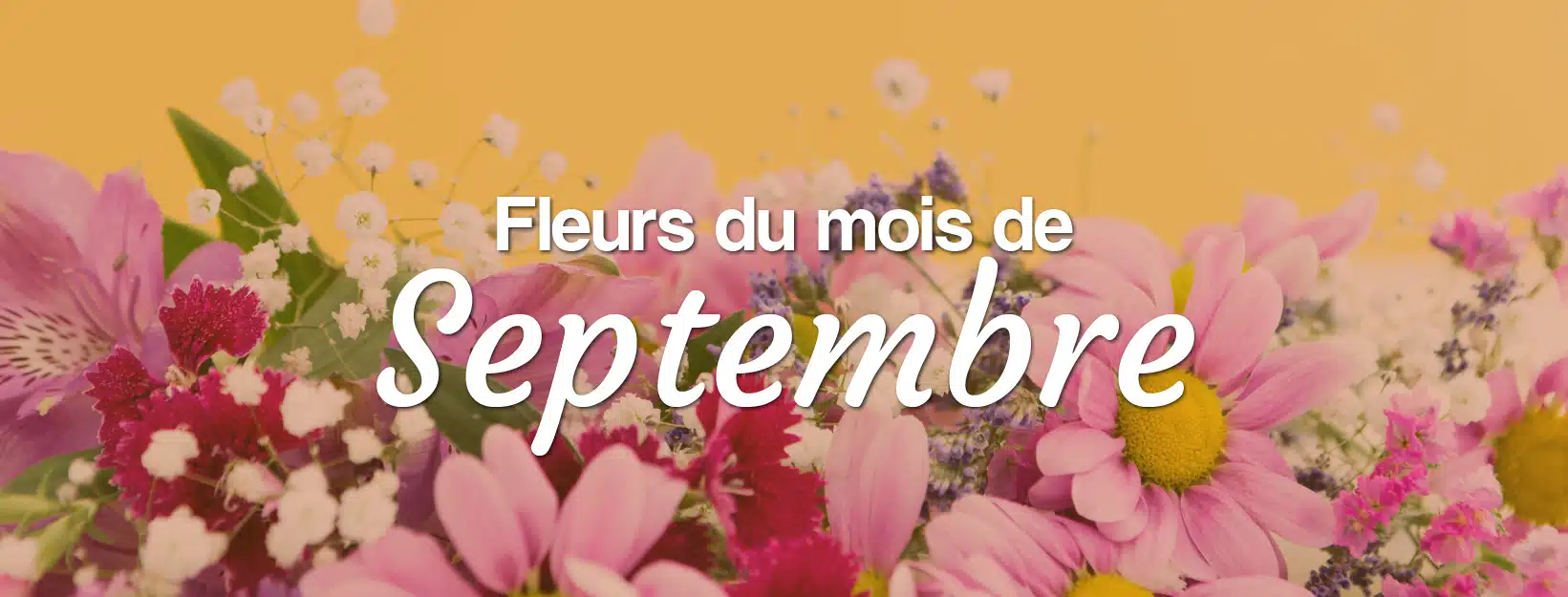 Livraison de fleurs de saison en septembre