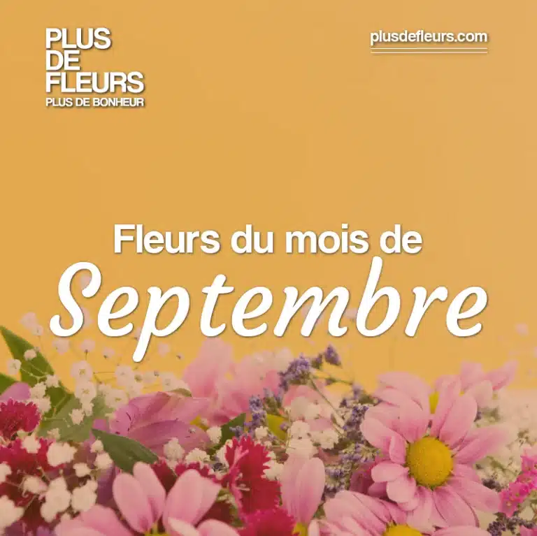 Livraison de fleurs de saison en septembre